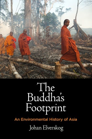 The Buddha's Footprint